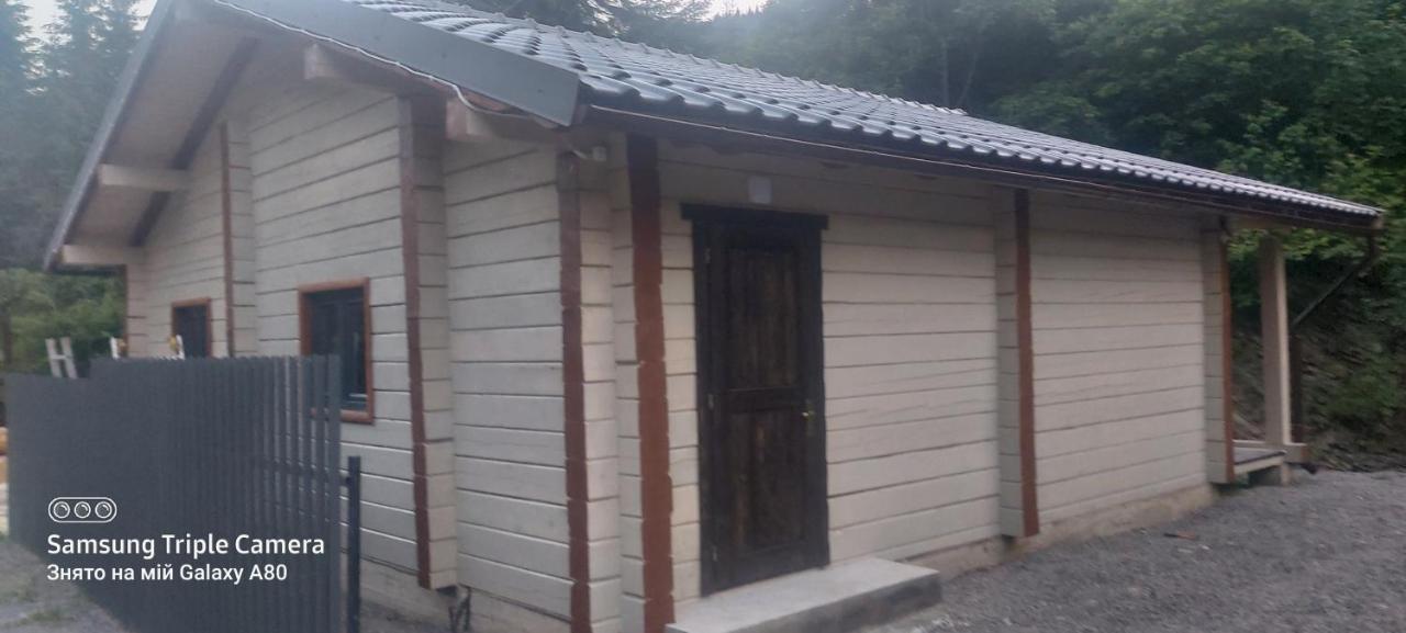Hotel Berloga-Sinevir Synevyrs'ka Polyana Ngoại thất bức ảnh
